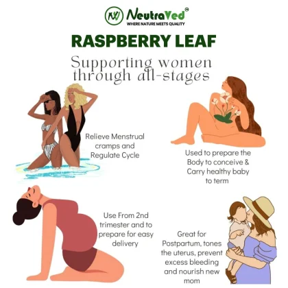 Raspberry Leaf image 4
